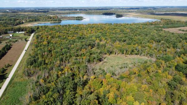 $199,900 20 Acres Prime HUNTING LAND near Richville MN (As Good As It Gets) (Richville)63990227383426121