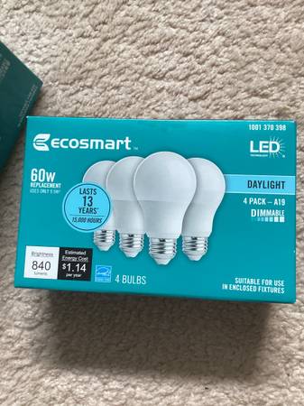 NEW  Ecosmart "L E D " 60 w 1