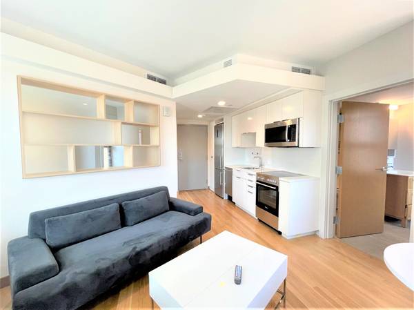 $3,300 / 1br - 456ft2 - Renovated unit right in Harvard ✨IN UNIT LAUNDRY✨pets ok 🐶😺 (Cambridge \ Harvard Sq. \ Harvard Sq.)63996547535491120