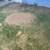 OD Tree Services 14 thumbnail