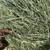 2025 Fresh Horse Hay Coastal or Sudan “Delivery” 1 thumbnail