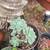 SUCCULENTS: Echeveria and other plants for sale: Large Variety $5 each 2 thumbnail