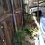 Yard clean up 3 thumbnail