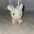 Best Made Toy Plush Bunny Rabbit Stuffed Animal 7 inches 1 thumbnail