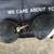 1937 Ford Truck headlights Vintage rat rod 6 thumbnail