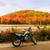 2019 YAMAHA XT250 1000 MILES 2 thumbnail