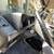 1991 Volkswagen Vanagon - 2.2 Subaru Conversion 11 thumbnail