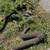 Retail  office  Vacant  Land  Commerical property  Available 14 thumbnail