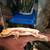 Crested gecko Red base lilly white 1 thumbnail