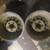Pair of Aluminum wheels Dodge Ford 15 x 7 2 thumbnail