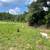 Billy Goats & Sheep Rams 1 thumbnail