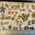 Full Christmas & Figural Jewelry Display Case 3 thumbnail