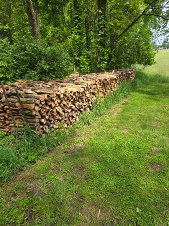 Seasoned firewood 1