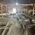 Hayloft full of barn wood 5 thumbnail