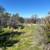 80 Acres with Fantastic Valley Views Lake Oroville Area 7 thumbnail