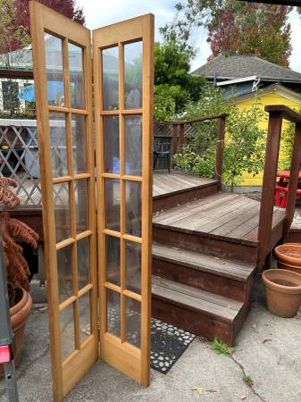 Bifold Door w/glass panes 1