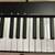 88-Key USB-MIDI Controller, stand, 2 pedals, vinyl dust cover 11 thumbnail