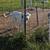 !Poultry Safe! Livestock Guardian Dog LGD 2 thumbnail