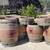 🪴💥 Oak Wine Barrel Planters 🪴💥 6 thumbnail