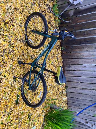 Giant brand bike XTC model 1