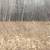 about 18 acres of partially wooded land 4 thumbnail