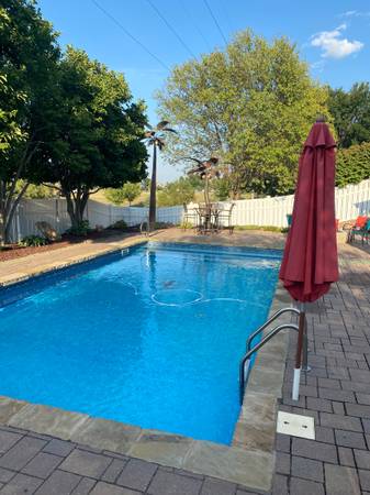 $900 / 3br - Room for Rent (Hillsborough)63681677535745120