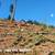 LOGGING , VEIW CLEARING , LAND CLEARING , EXCAVATOR WORK 1 thumbnail