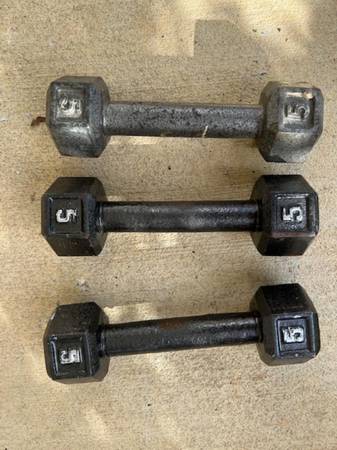 Three 5 pound dumbbells 1
