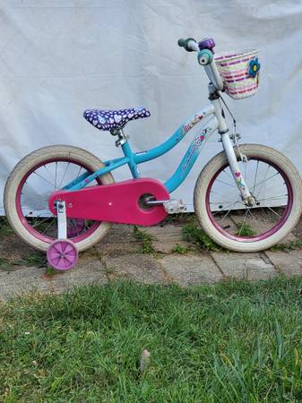 16 inch with training wheels 1