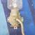 Antique Arcade Crystal Wall Mount  Coffee Grinder 1 thumbnail
