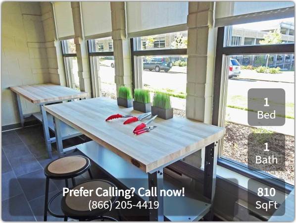 $1,333 / 1br - 810ft2 - Need a bigger place to call home? Check us out! 810 SqFt, 1 Bed (Saint Paul - Near Downtown)63666914463745121