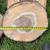 Solid Maple Wood Rounds – Slabs for Crafts, Decor, Furniture, Weddings 6 thumbnail