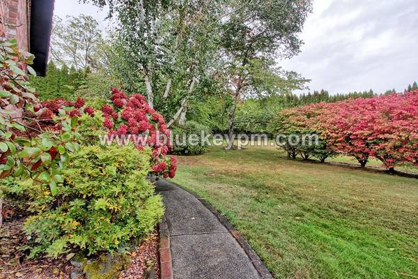 $3,695 / 3br - 2754ft2 - 3 Bed, 2 Bath, 1 Acre Home in Ridgefield, WA63999454269955121