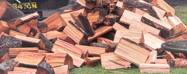 Fir Firewood NOT seasoned GREEN 1