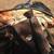 Parts car? 1964 VW bug sedan patina 4 thumbnail