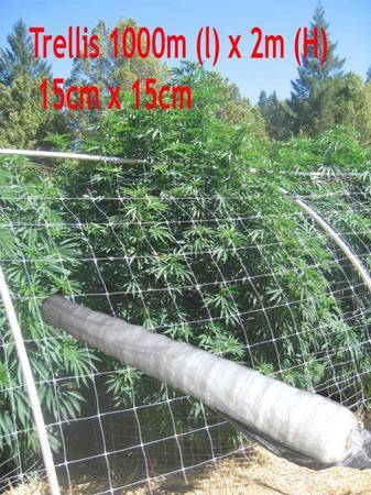 3280' x 6.5' Bio Grade Trellis Plant Support Outdoor Netting Vine Stem 1