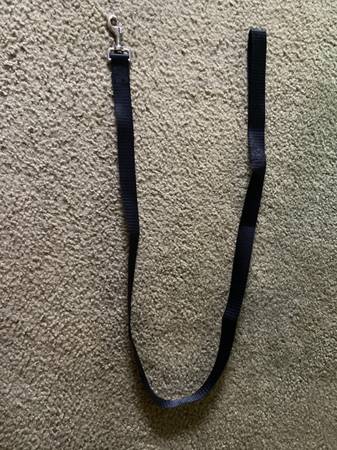 Dog leash 1