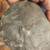 Arrowheads, Cache Blade, and other Tools 5 thumbnail