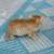 Free Kittens 8 thumbnail