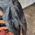 Leather Motorcycle Jacket 2 thumbnail