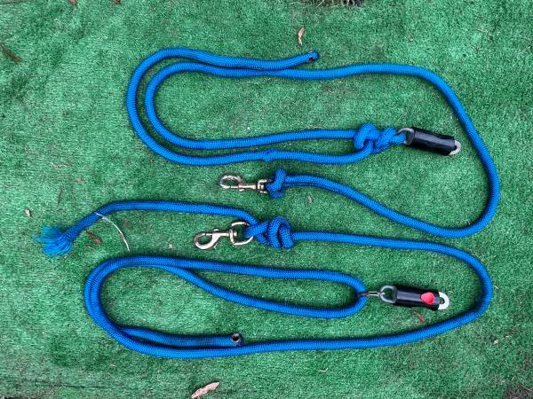 High tie leads horse 1