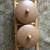 Vintage Red Wing Pottery Jar Set w/ Bamboo Rack – Collectible Storage 4 thumbnail
