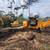 PEPPER TREE AND BRUSH REMOVAL SERVICES! CHECK OUT OUR EQUIPMENT! 1 thumbnail
