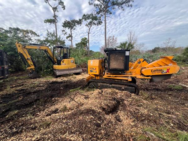 PEPPER TREE AND BRUSH REMOVAL SERVICES! CHECK OUT OUR EQUIPMENT! 1
