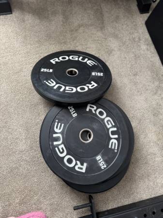 Rogue Echo Bumper (Printed) - 160lb Set 1