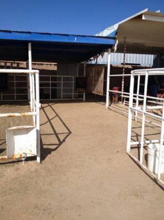 Horse boarding stables 1