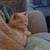 Pet Sitting in your home 1 thumbnail