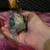 Baby lovebird 3 thumbnail