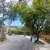 Forested cottage in North Berkeley Hills with pool and tennis access 2 thumbnail