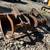 Bobcat Demolition Grapple Bucket 1 thumbnail